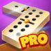 dominoes-pro-play-offline-or-online-with-friends.png