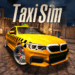 taxi-sim-2020.png