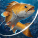 fishing-hook.png