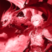لعبة-granblue-warグランブルーファンタジー.png